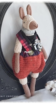 Cute llama.