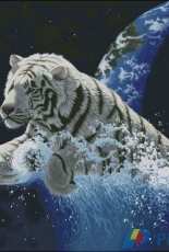 HAED HAESS 02216 Leap of Creation by Schim Schimmel