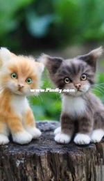 Anchutka Toys - Anna Kudinova - Kittens - Анна Кудинова - Котики - Russian