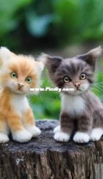 Anchutka Toys - Anna Kudinova - Kittens - Анна Кудинова - Котики - Russian