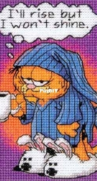Dimensions 72787 - Garfield I Wont Shine PCS