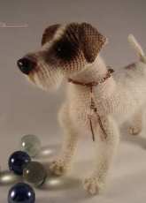 Jack Russell Terrier