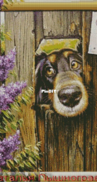 Natalia Pyshnograeva- Be aware of dog