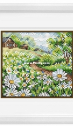 M. P. Studio M-562 Summer Expanse