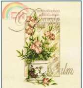 DMC BK241 Plum Rose Calm