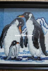 Penguins