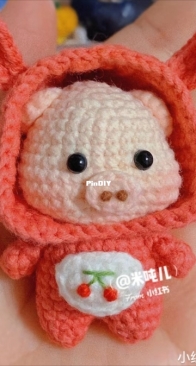 Little pig in a hoodie - Chinese