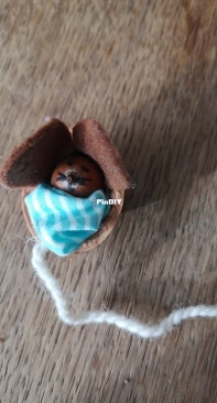 walnut mouse