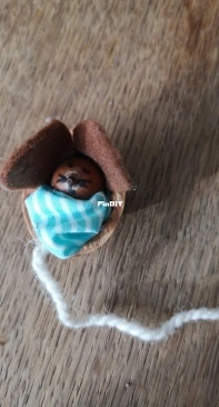 walnut mouse