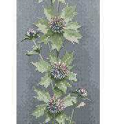 Heritage Stitchcraft - Flower Panels JCSH470 Sea Holly by John Clayton XSD
