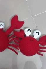 Crab family