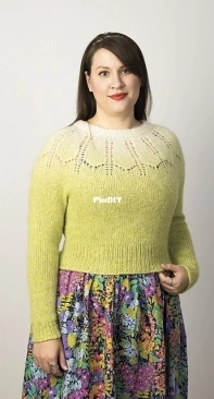 Vinterblomma Pullover - Andi Satterlund - Free