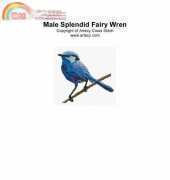 Artecy Cross Stitch - Male Splendid Fairy Wren