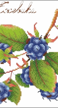 M.P. Studio HB-696 Gifts of nature. Blackberry XSD+PCS