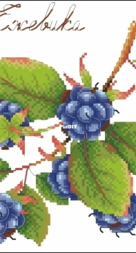 M.P. Studio HB-696 Gifts of nature. Blackberry XSD+PCS