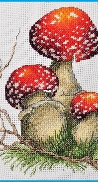Fly agarics.