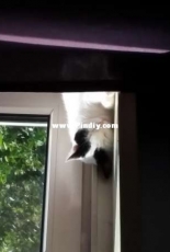 Sleeping in the sun