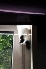 Sleeping in the sun