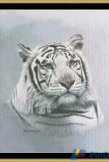 Mystic Stitch MM-19 - White Tiger-Blue Sapphire