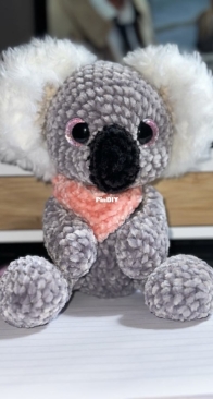baby koala