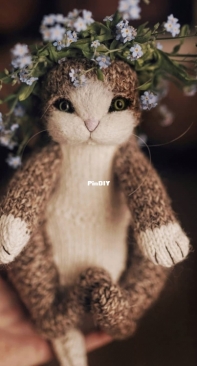 Kira Kuzina - Kat