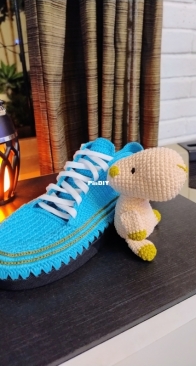Shoe and Capibara