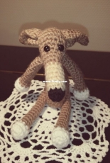 My galgo