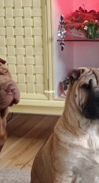 New babies , Evee and Mia xxx