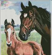 Artecy Mare and Foal