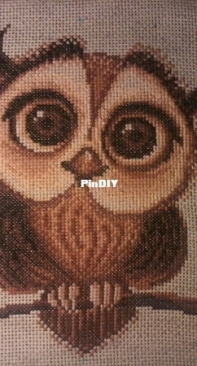 Owl -  Aries (Oven)