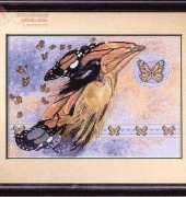 Dimensions 344 On Butterfly Wings
