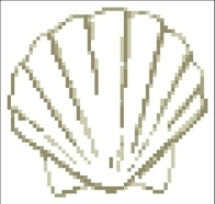 Shell 119/conchiglia 119 by Flli Graziano Italy