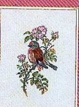 Eva Rosenstand 12-257 - Linnet 3