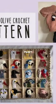Autumn Olive Crochet - Autumn Olivia Ward - 25 in 1 bird cardigan pattern