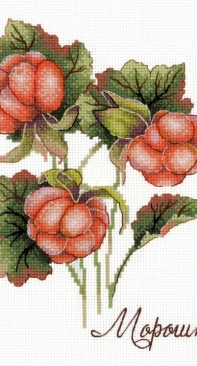 M.P. Studio - NV-815 - Cloudberry