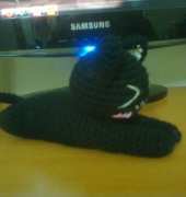 Black cat