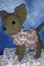 dog 1