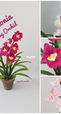 Pippa Patterns - Connie Rockliff - Miltonia - Pansy Orchid