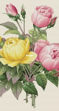 Fragrant roses by Lyubov Vodenikova