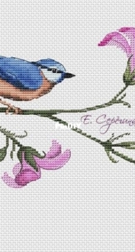 Bird of Paradise by Ekaterina Seregina