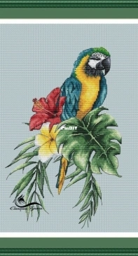 Parrot by Ekaterina Kutyina Kutina Екатерина Кутьина