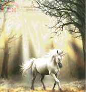 HAED HAEANS 1234  Glimpse of a Unicorn by Ann Stokes