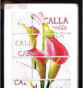 BNP CS-L03 - Mosaic Calla