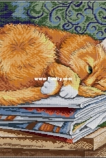 M.P. Studio HB-595 - Cat Scientist