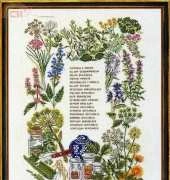 Eva Rosenstand 14-207 - Herbs