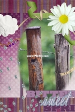 Digital scrapbooking - Fence in the summer