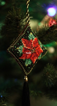 Poinsettia by Aleksandra Orlova-