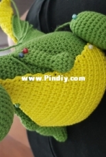 Little dragon