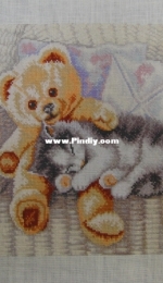 Cat with Teddy.