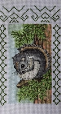 Flying Squirrel